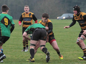 Supporting image for story: Telford Hornets buzzing after away-day blitz