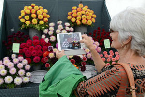 Supporting image for story: Shrewsbury Flower Show 'that really is' a vibrant tribute to war