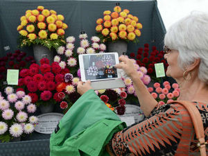 Supporting image for story: Shrewsbury Flower Show 'that really is' a vibrant tribute to war