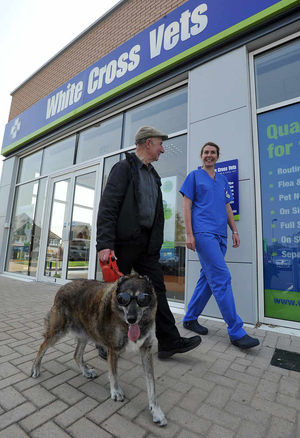 Bugsy steps out in his doggles with owner David Jones and clinic director Bonnie Leibowitch