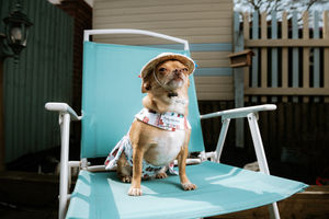 Princess Paris relaxing