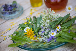 Yum, yum... a plate of edible weeds