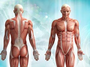 Supporting image for story: 7 myths about the human body that are often mistaken as facts