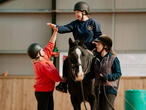 Supporting image for story: Shropshire equestrian charity launches appeal for funds to create new inclusive outdoor space