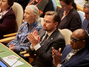 Supporting image for story: Leonardo DiCaprio hails ‘dear friend’ and ‘hero’ Dame Jane Goodall