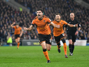 Supporting image for story: Wolves throwback: Penalty joy embodied spirit of title-winners