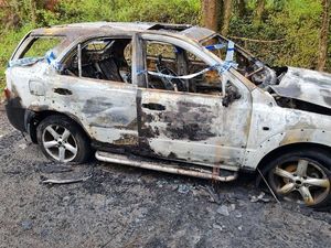 Supporting image for story: Car destroyed as fire spreads to nearby trees in Shifnal
