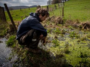 Supporting image for story: Shropshire farmer wants to build wetland to stop flooding downstream