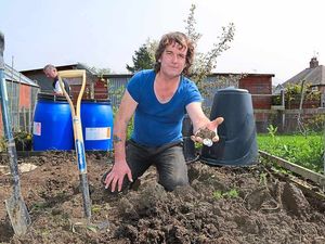 Supporting image for story: Allotments part of a growing trend in Shropshire