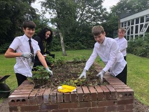 Supporting image for story: Allotment project grows at city high school