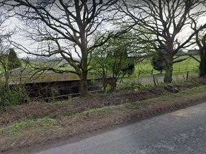 Supporting image for story: Special buses in dog nursery plans for Walsall green belt land