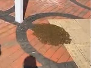 Supporting image for story: Locals marvel at unexpected swarm of bees at Black Country railway station