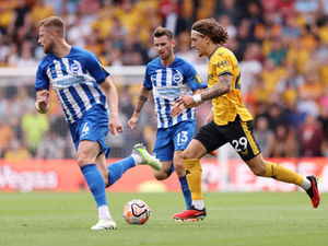 Supporting image for story: Wolves 1 Brighton 4 - Report