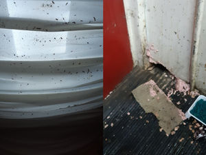 Supporting image for story: Grim pictures show inside Walsall restaurant where inspectors found rat droppings