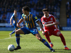 Supporting image for story: Shrewsbury Town 1 Scunthorpe United 1 - Report and pictures