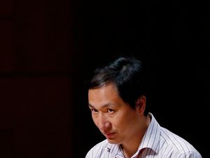 Supporting image for story: Scientist behind gene editing claims second pregnancy under way