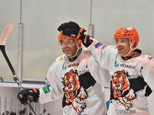 Supporting image for story: Telford Tigers fight back to sting the Bees