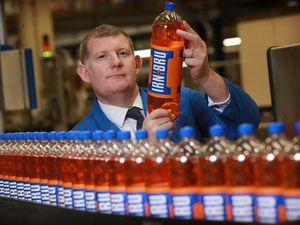 Supporting image for story