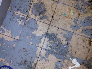 Supporting image for story: Former owner of Dudley restaurant where rat droppings found in kitchen lands hefty court bill 