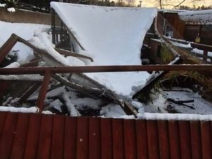 Supporting image for story: "It could be weeks before we re-open again" - Director of much loved Sedgley animal sanctuary after damage caused by Storm Goretti