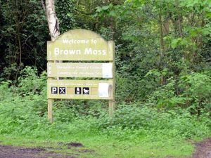 Supporting image for story: Bulldog put to sleep after biting child in Shropshire park and attacking police officer 