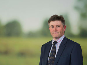 Supporting image for story: Growing interest in forestry