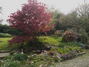 A new group of four delightful gardens in Guilsfield village, three miles north of Welshpool will be opening