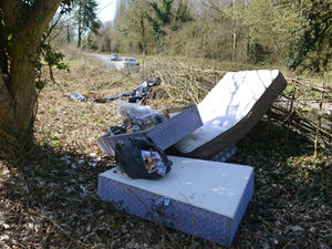 Supporting image for story: Homeowners face £400 fly-tipping fines if rogue firms used 