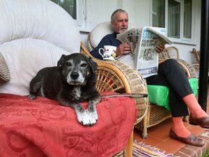 Supporting image for story: We meet the dog that sparked a delivery ban after 'jumping up and barking' at postie