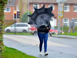 Supporting image for story: Storm Agnes: Winds of up to 44mph predicted as Shropshire attractions to shut up shop early