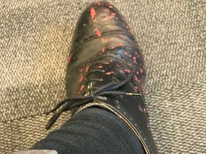 Supporting image for story: Ludlow MP Philip Dunne paint bombed by protestors