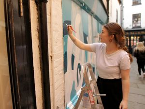 Supporting image for story: Flower show gig is blooming great 'honour' for Shrewsbury artist Saffron