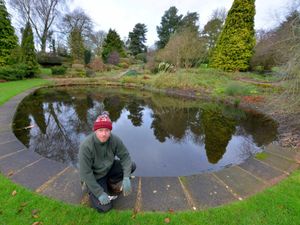 Supporting image for story: Open garden season at beauty spot near Market Drayton