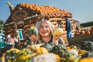 Weird and wonderful pumpkins coming to Pumpkin Village at National Forest Adventure Farm