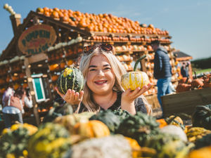 Supporting image for story: Blue, star shaped, and warty goblin pumpkins bring largest variety of pickable squashes to Staffordshire farm