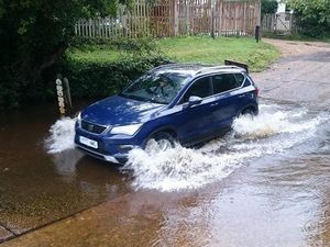 Supporting image for story: Fun in the New Forest with the Seat Ateca