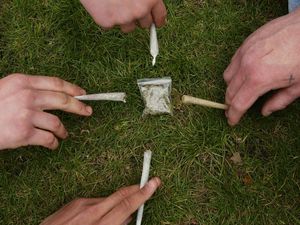 Supporting image for story: People who smoke a lot of weed have been found to produce less of the hormone linked to stress