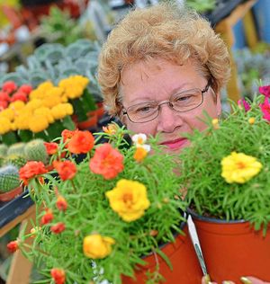 Vicki with a portulaca