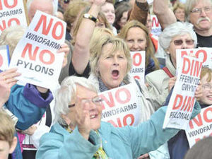 Supporting image for story: Protest at controversial pylons meeting