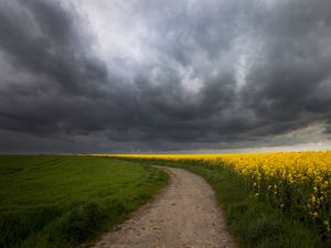 Thunderclouds over a field