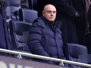 Daniel Levy in the stands