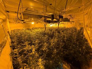 Supporting image for story: See inside £4.3m cannabis farm discovered in Telford industrial unit by members of the public