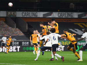 Supporting image for story: Wolves 1 Manchester City 3 - Report and pictures 