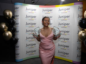 Supporting image for story: Ladder for the Black Country: Awards celebrate excellence