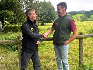 Supporting image for story: Codsall Driveways acquires CobbleCrete as demand for outdoor living booms