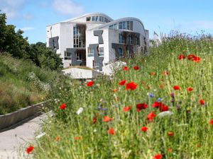 Supporting image for story: Commons lifts borrowing limit for Scottish Government