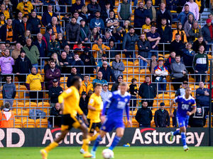 Supporting image for story: Stick behind the players, Steve Davis pleads with Wolves fans
