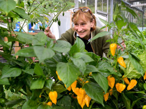 Supporting image for story: Garden near Market Drayton will host BBC radio show