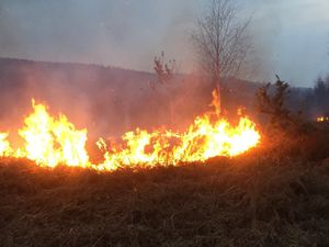 Supporting image for story: Residents warned to stay away from Rugeley grassland fire