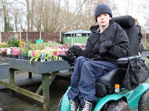Supporting image for story: Oliver is searching for work experience in Shropshire in his career quest in horticulture